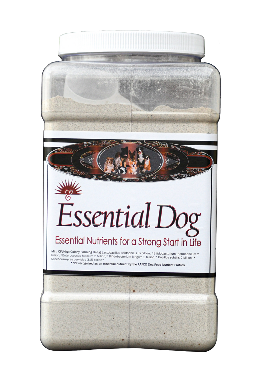 Essential Dog – Houndsman XP