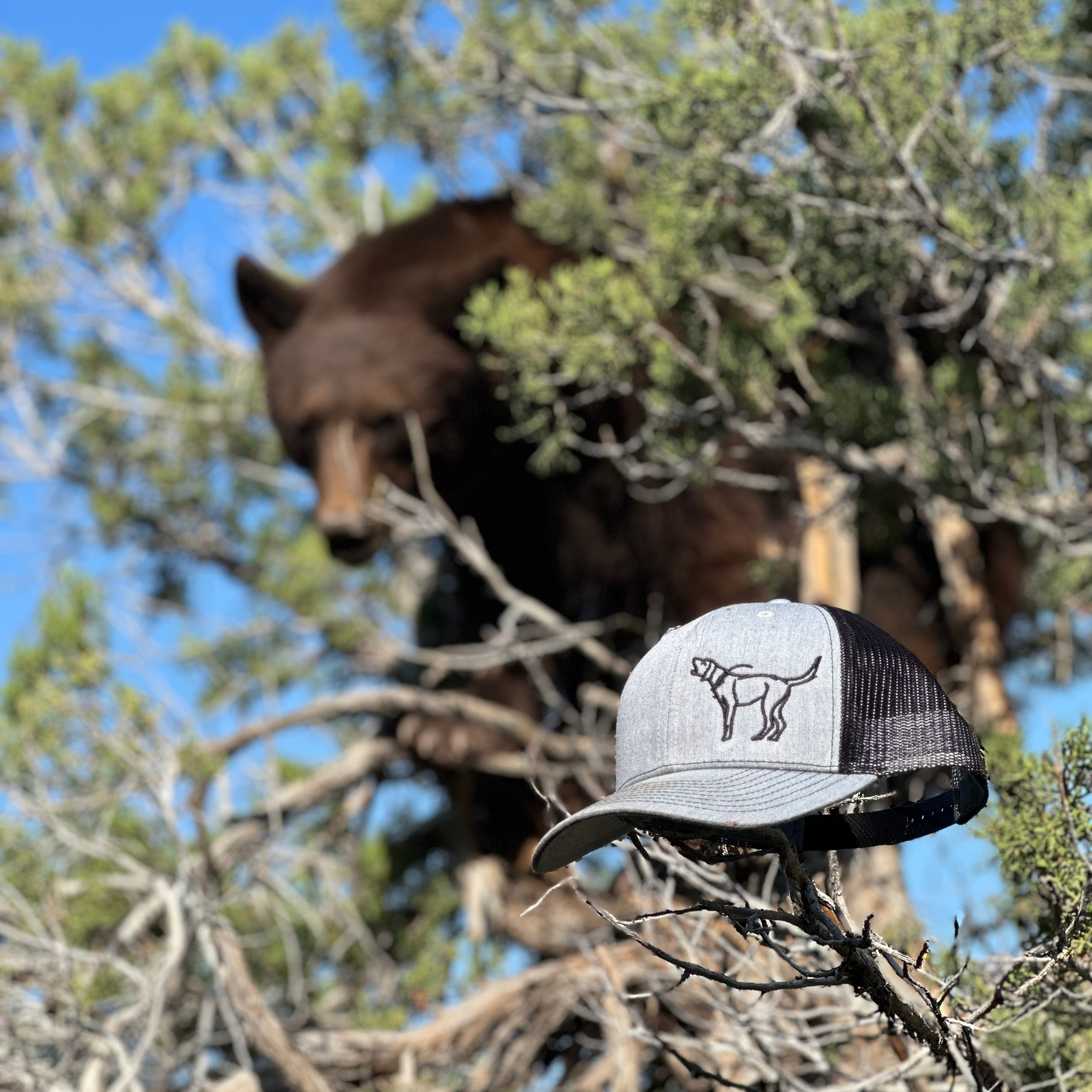 Embroidered HXP Hound Cap – Houndsman XP